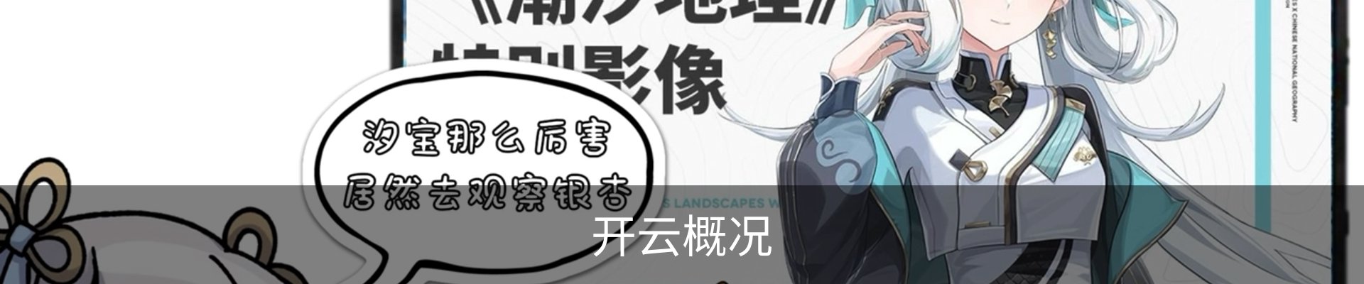 开云概况