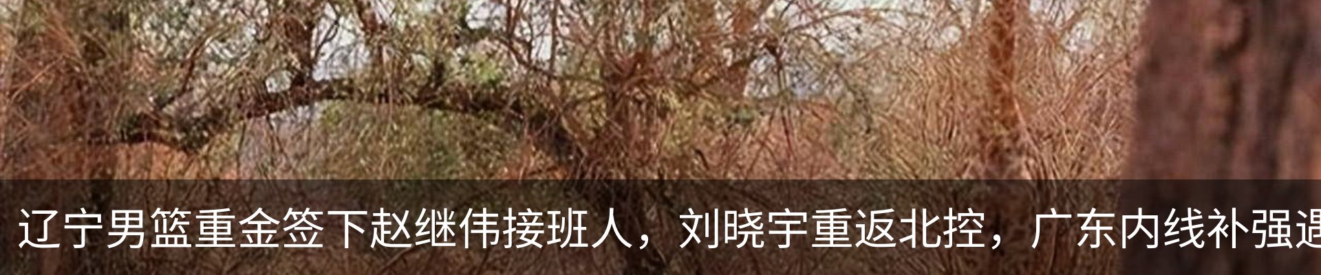 热点资讯